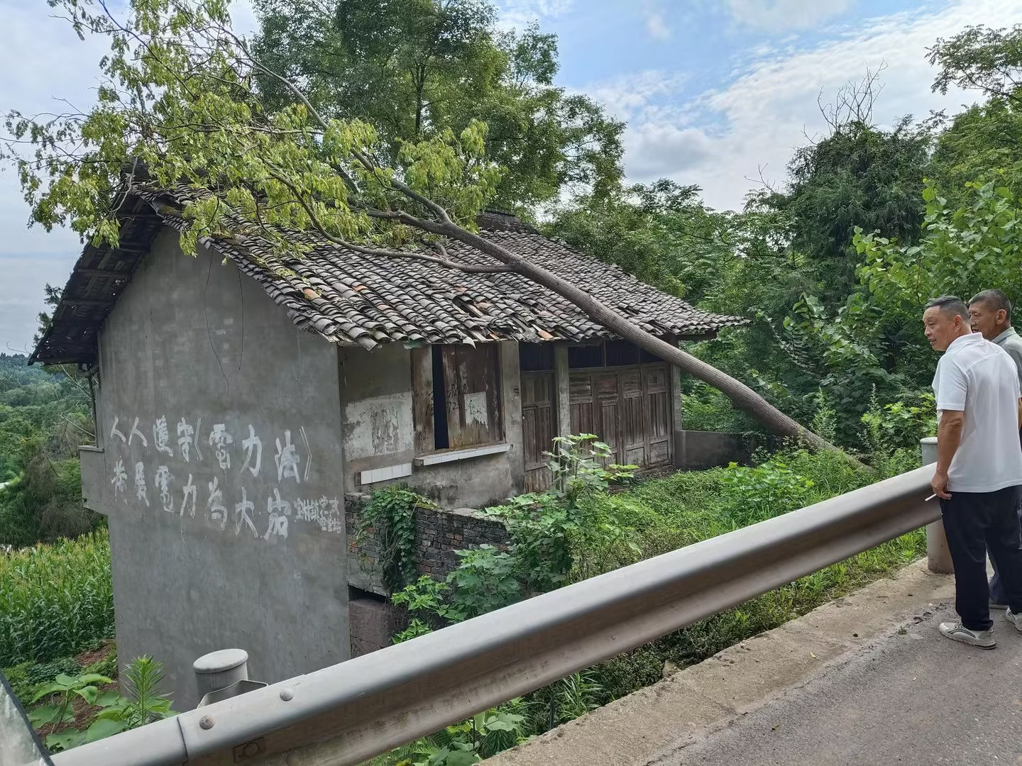 图片1